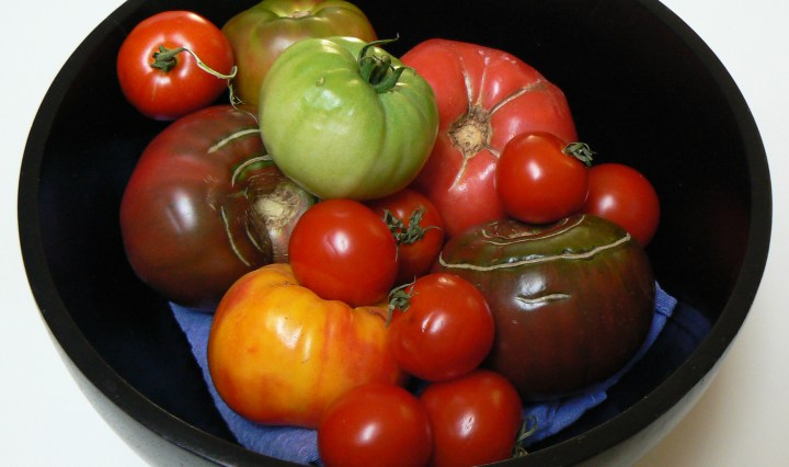 Between the TInes - Color - Black is Beautiful