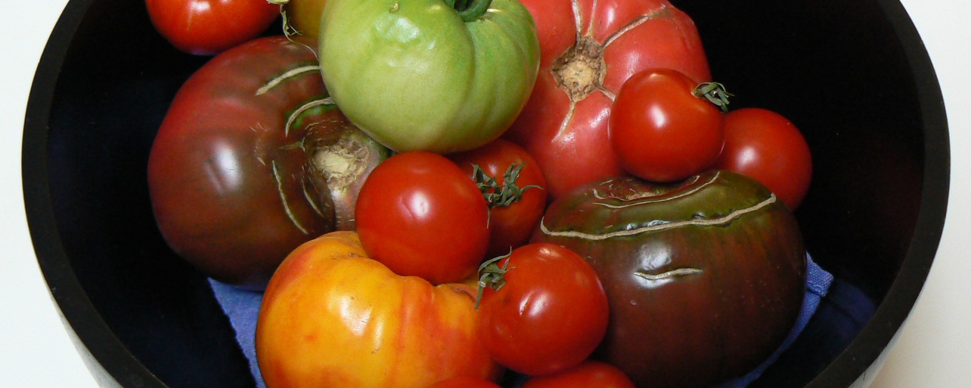 Between the TInes - Color - Black is Beautiful