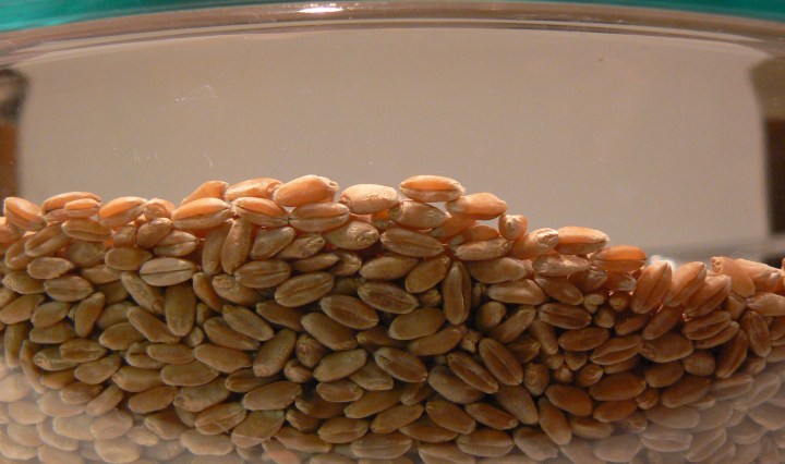 Glorious Grain - Between the Tines