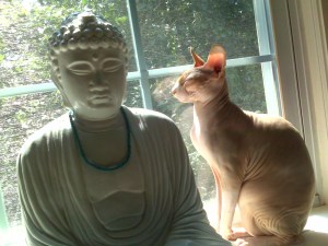 Buddha and Boo